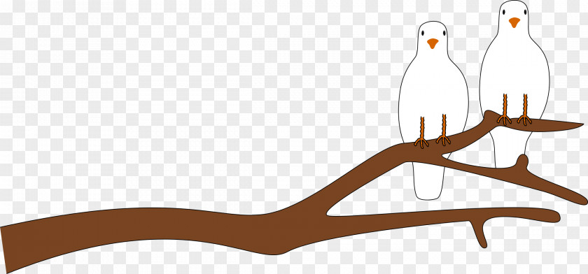 Dove Tree Cliparts Branch Free Content Clip Art PNG