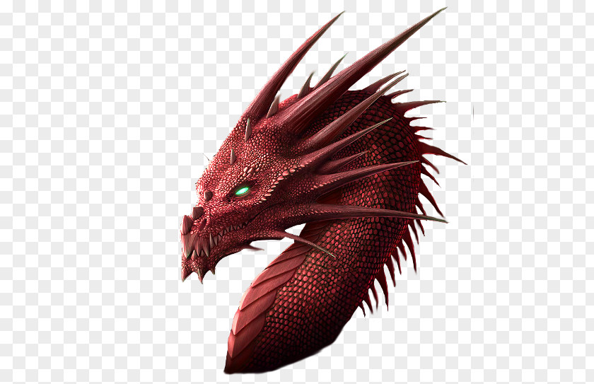 Dragon The Beowulf Smaug Monster PNG