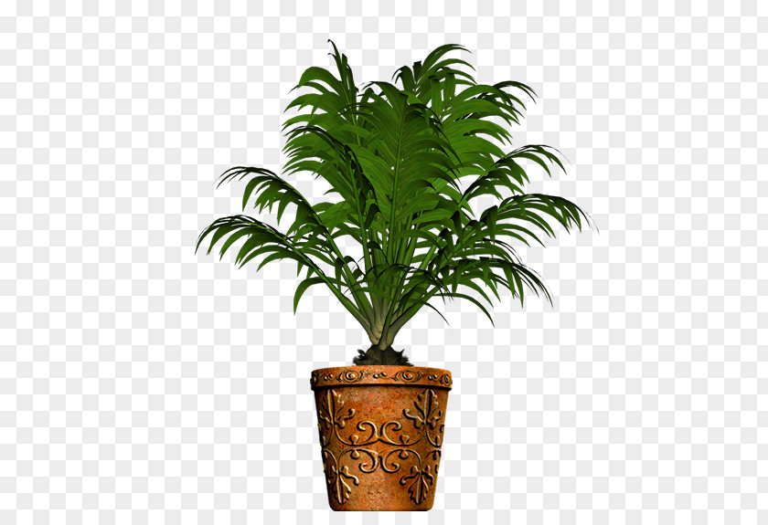 Palmier Herb Houseplant Clip Art PNG