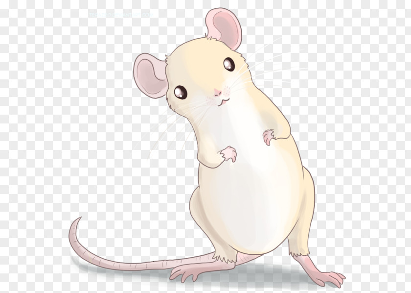 Altair Cartoon Whiskers Nose Computer Mouse Carnivores Fauna PNG