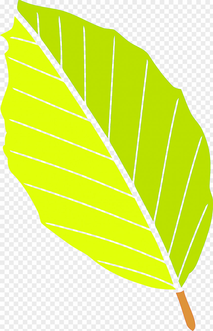 Autumn Leaf Yellow PNG