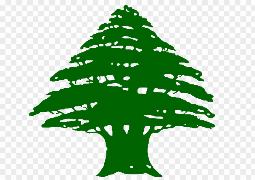 Fir-tree Flag Of Lebanon Phoenicia Cedrus Libani Mount PNG