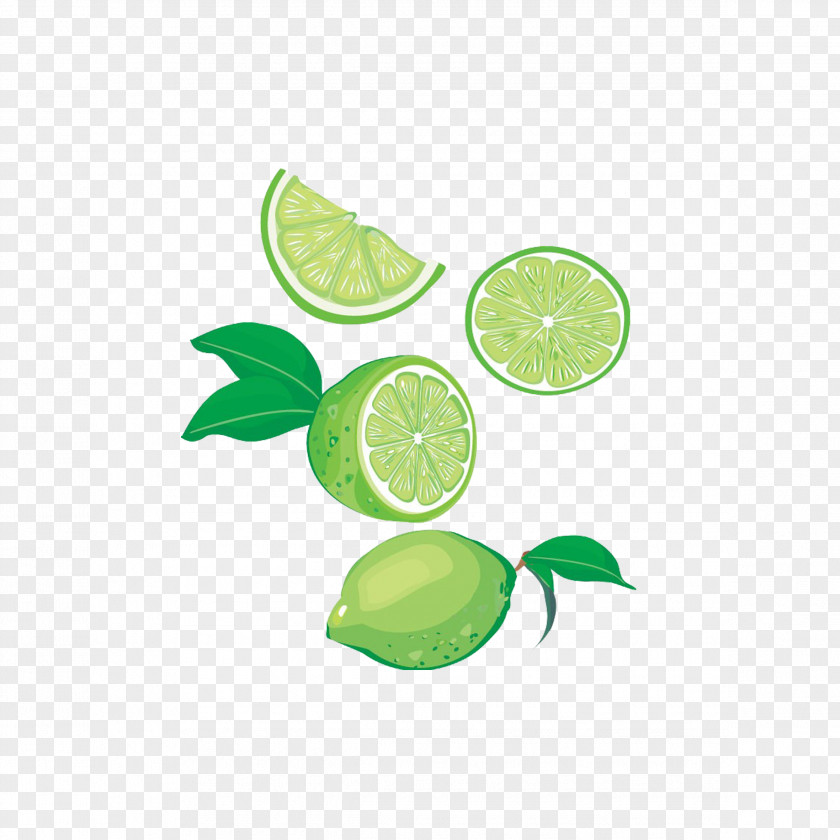 Lime Lemon-lime Drink Juice PNG