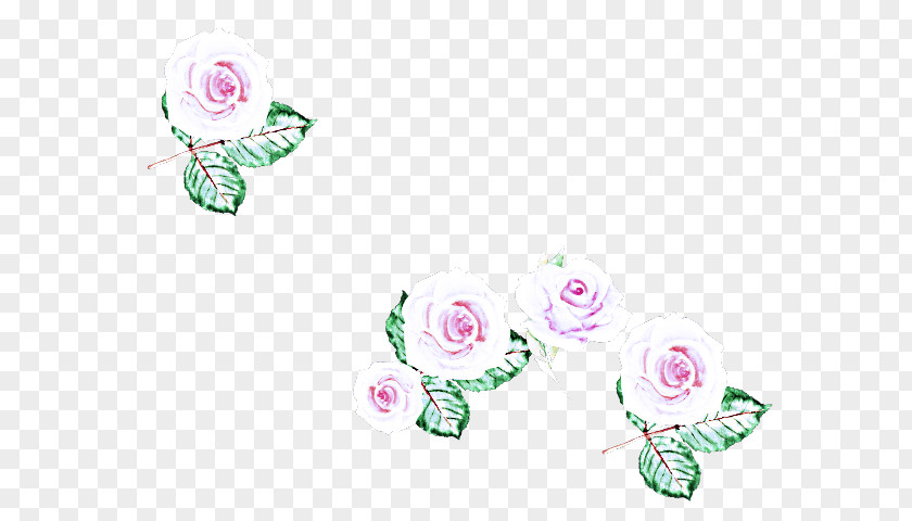 Magenta Flower Pink Plant Clip Art PNG