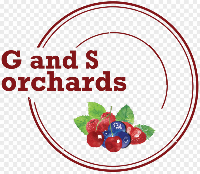 Picking Fresh Berries Cranberry Natural Foods Clip Art Superfood PNG