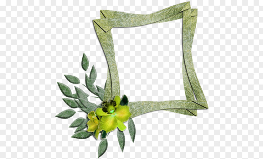 Picture Frames Floral Design PNG