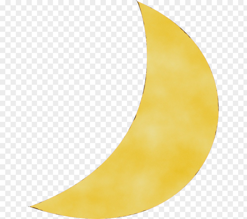 Plant Crescent Watercolor PNG