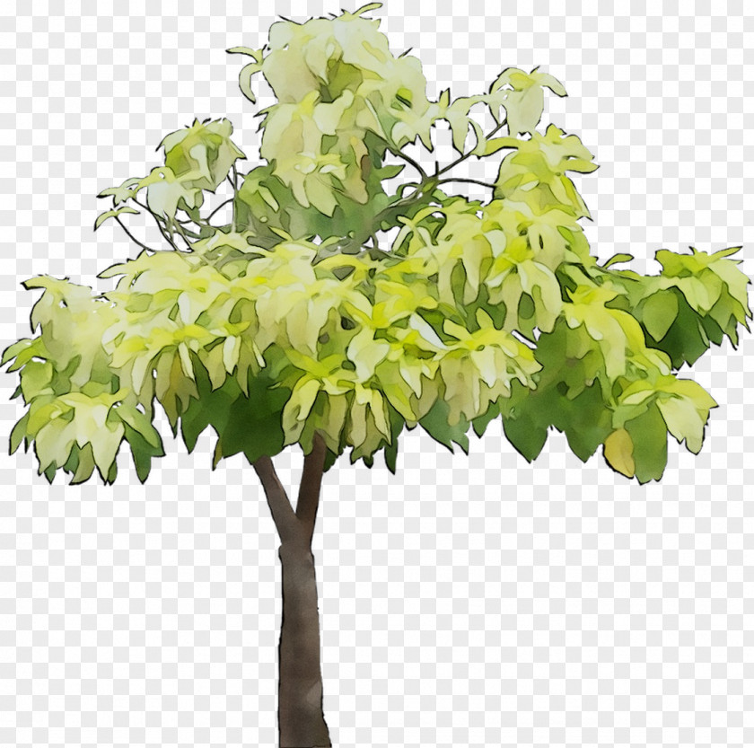 Twig Flowerpot Plant Stem Leaf PNG