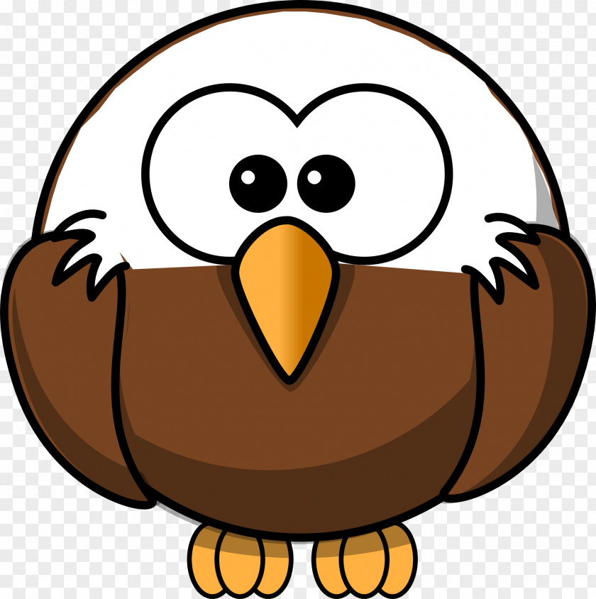 Bird Cartoon Bald Eagle Clip Art PNG
