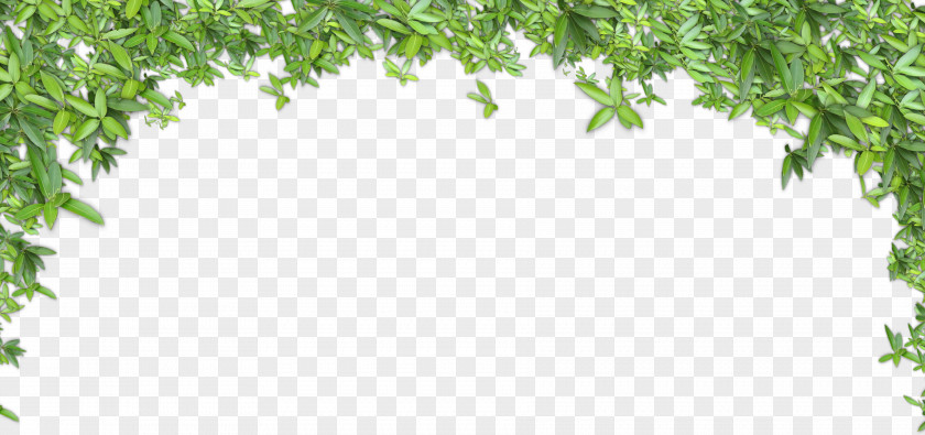 Green Leaves Background Clip Art PNG