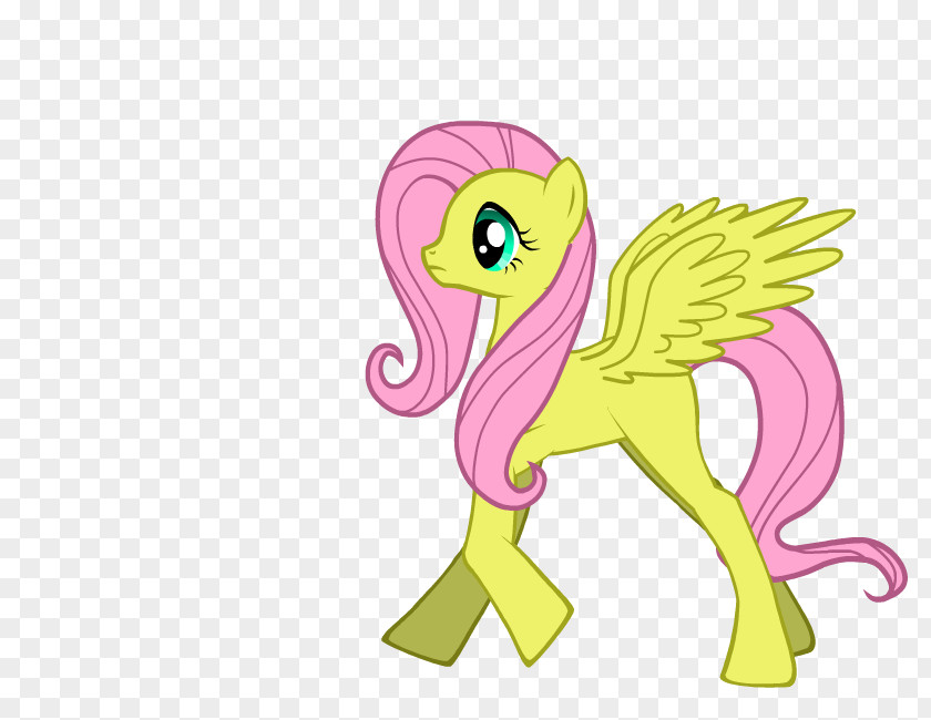Grown Ups Pony Fluttershy Horse Winged Unicorn PNG
