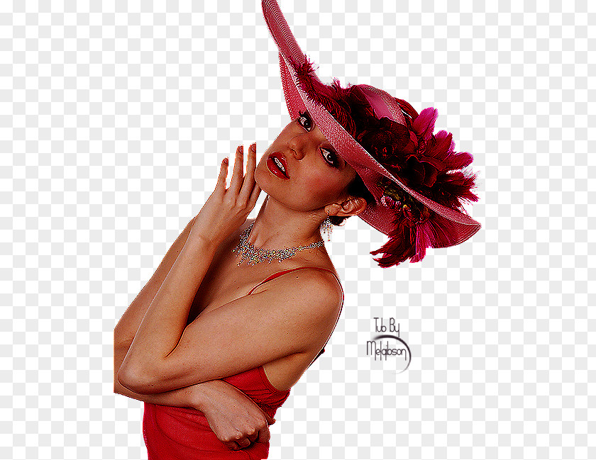 Hat Lip PNG