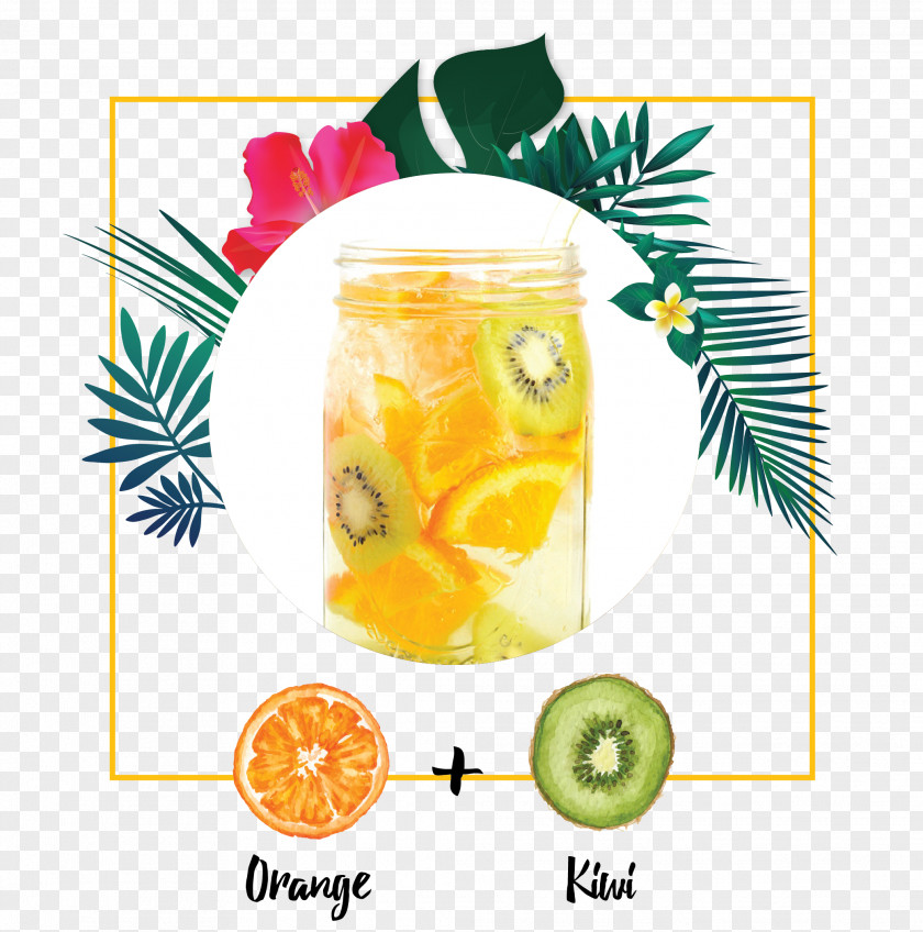 Orange Drink Detoxification Infusion Health PNG