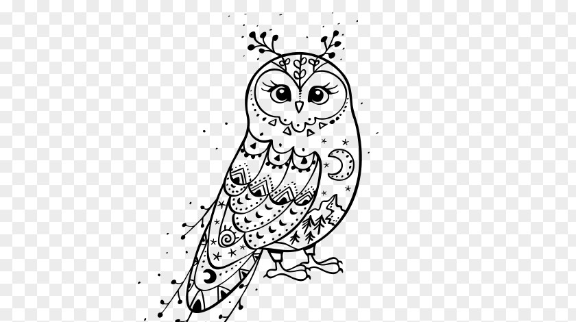 Owl Drawing Little PNG