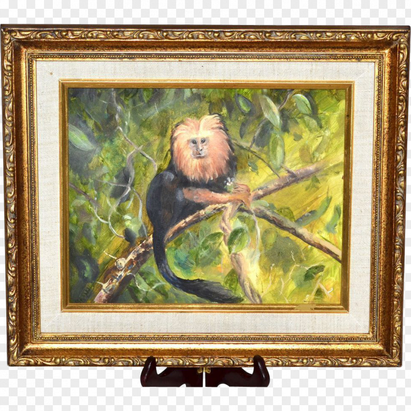 Painting Golden Lion Tamarin Still Life Picture Frames Oil PNG