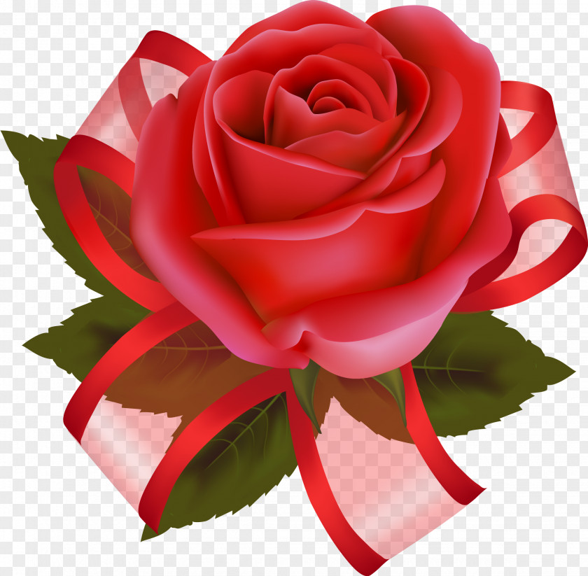 Rose Cut Flowers Garden Roses Clip Art PNG