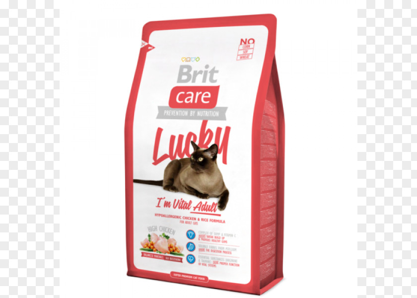 Cat Food Kitten Raw Feeding Dog PNG