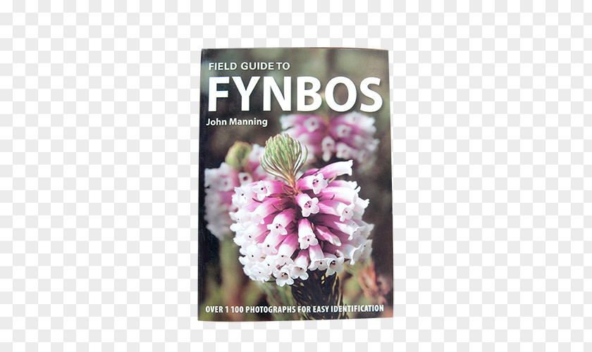Flower Field Guide To Fynbos Wild Flowers Of South Africa First Succulents Southern Cape Floristic Region PNG