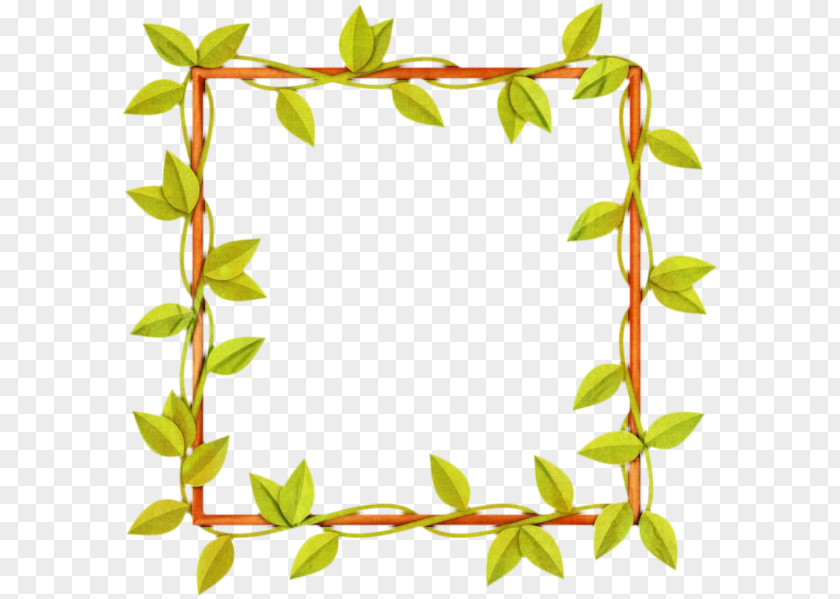 Flower Plant Photo Frame PNG