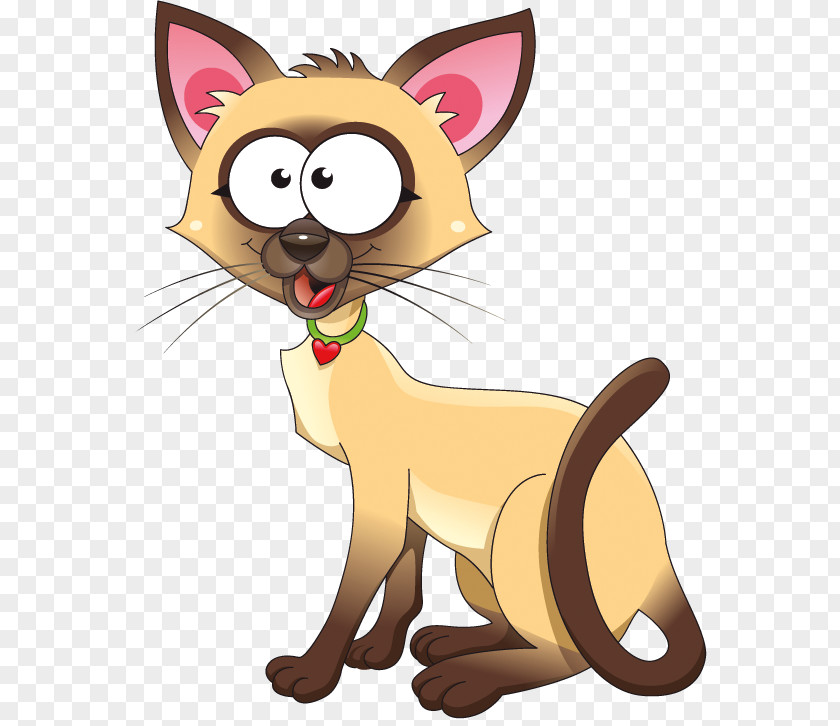 Kitten Siamese Cat Felidae Clip Art Birman PNG