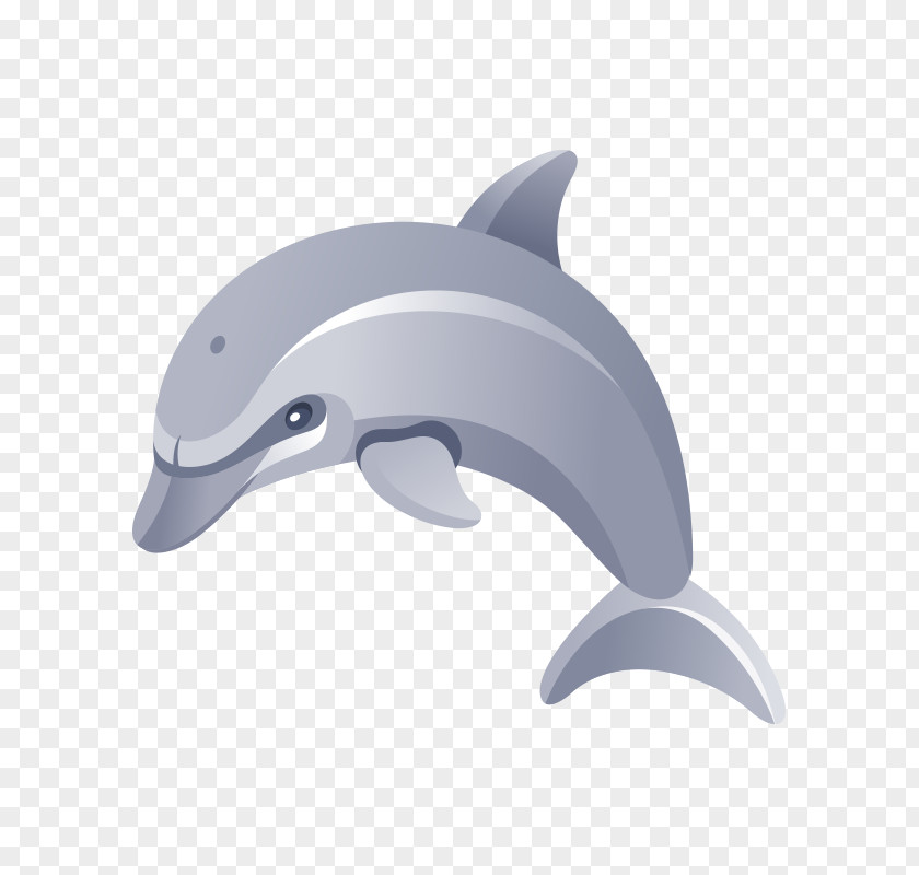 Marine Life,dolphin Download Clip Art PNG