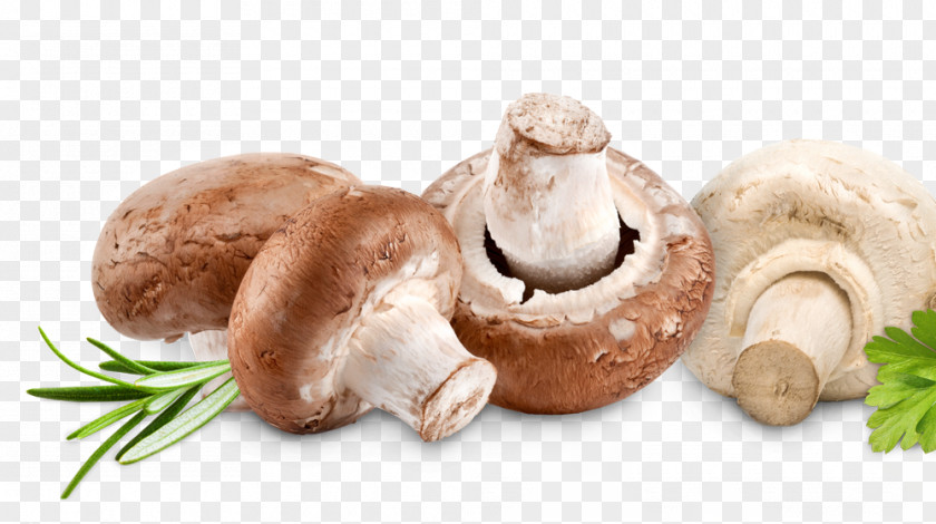 Mushroom Common Leigh Syndrome Food Thiamine Disease PNG