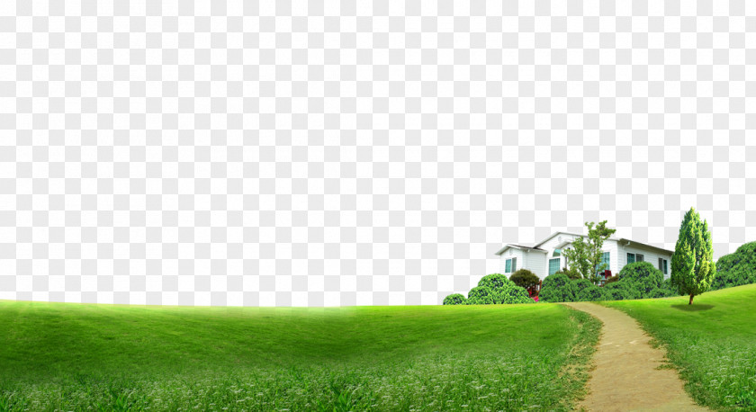 Pastoral Building Grass Background Material Lawn Download Computer File PNG