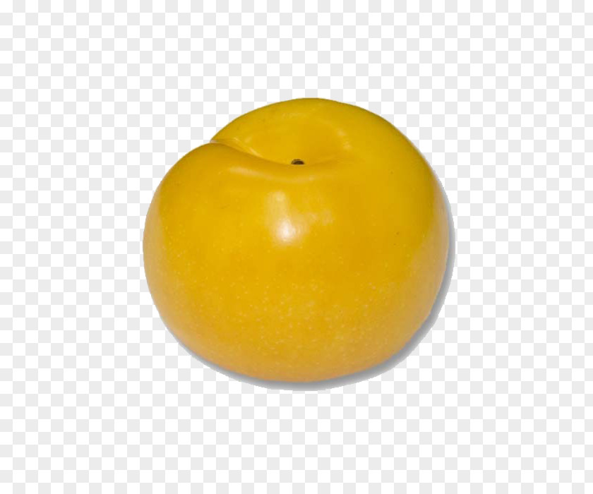 Tomato Yellow Testor Corporation Pear Paint PNG