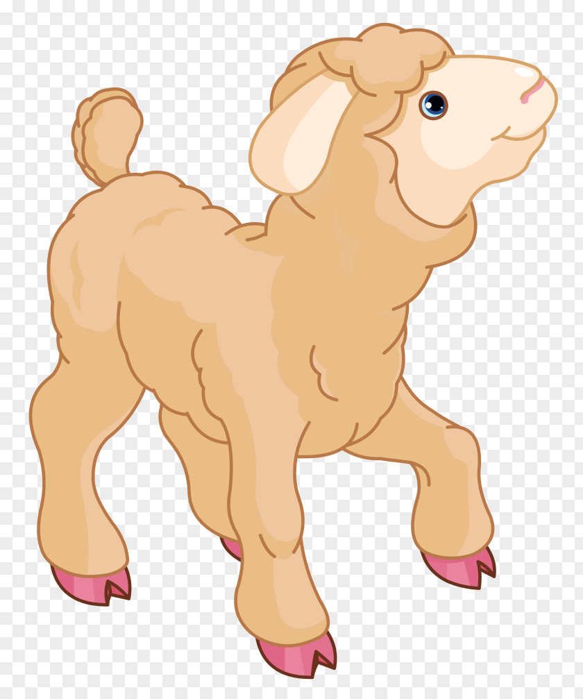 Baby Sheep Cliparts Lamb And Mutton Clip Art PNG