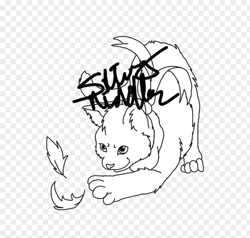 Cat Whiskers Line Art Drawing Clip PNG