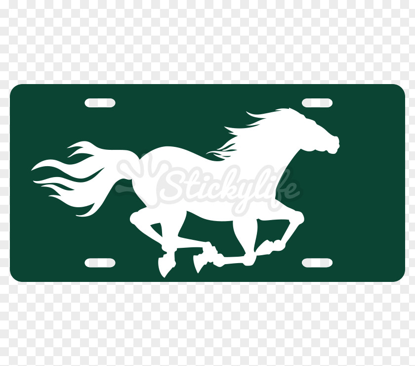 Mustang Stallion Pack Animal Freikörperkultur PNG