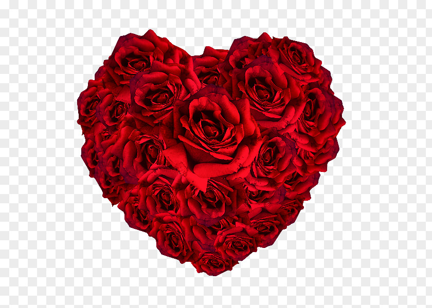 Rose Garden Roses Heart Image PNG