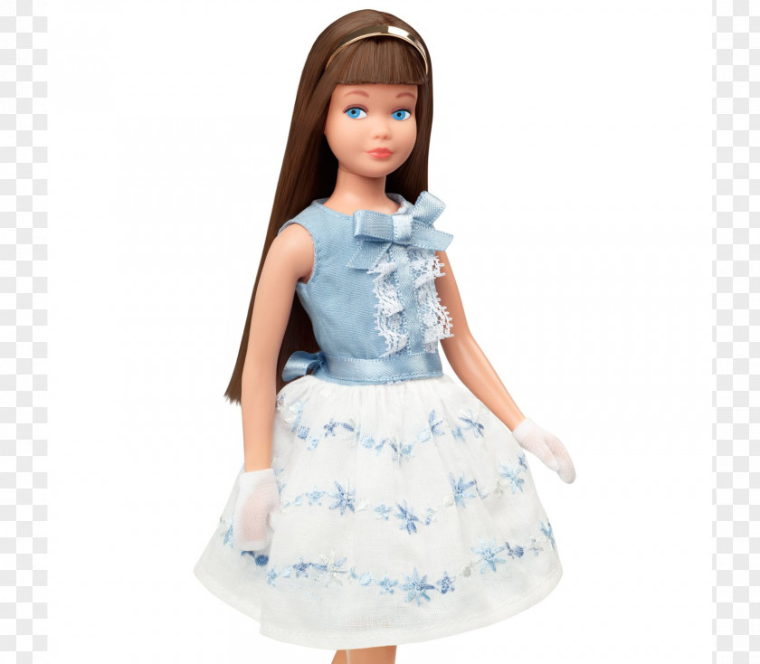 Barbie Amazon.com Sisters & Skipper Dolls PNG