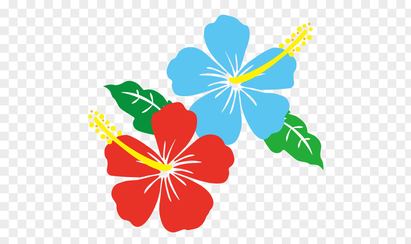 Blue And Pink Hibiscus Flower.Others Summer Flower PNG