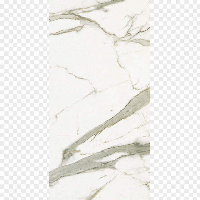 Carrara Porcelain Tile Statuario Marble PNG