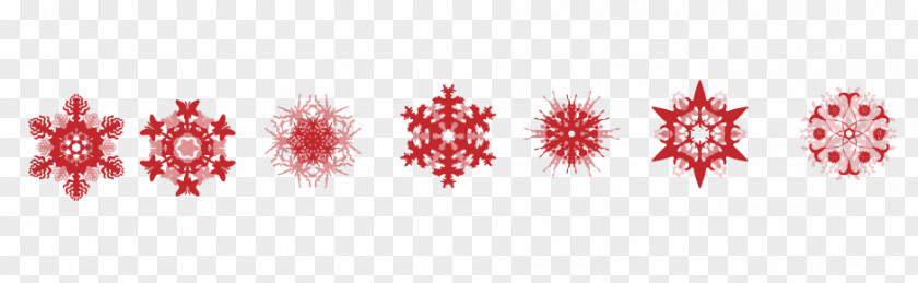 Christmas Snow Snowflake Schema Icon PNG