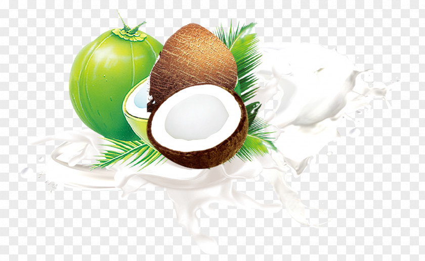 Coconut Material Milk Fruit Leaf PNG