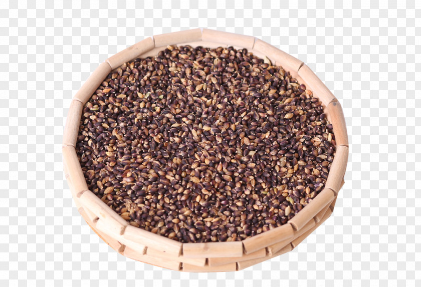 Drying Barley Rice Cereal Tibetan Cuisine PNG