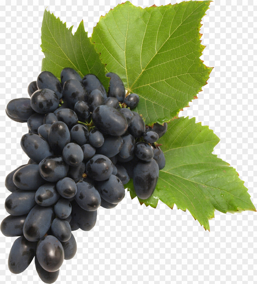 Grape Image Download, Free Picture Common Vine PNG
