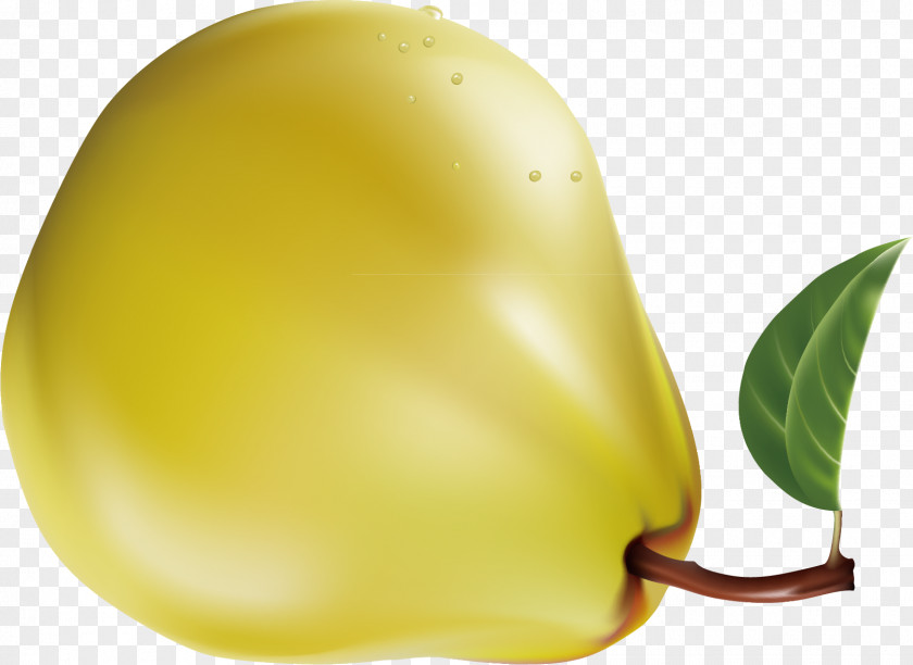 Laiyang Pear Material Fruit Pyrus Xd7 Bretschneideri Auglis Clip Art PNG