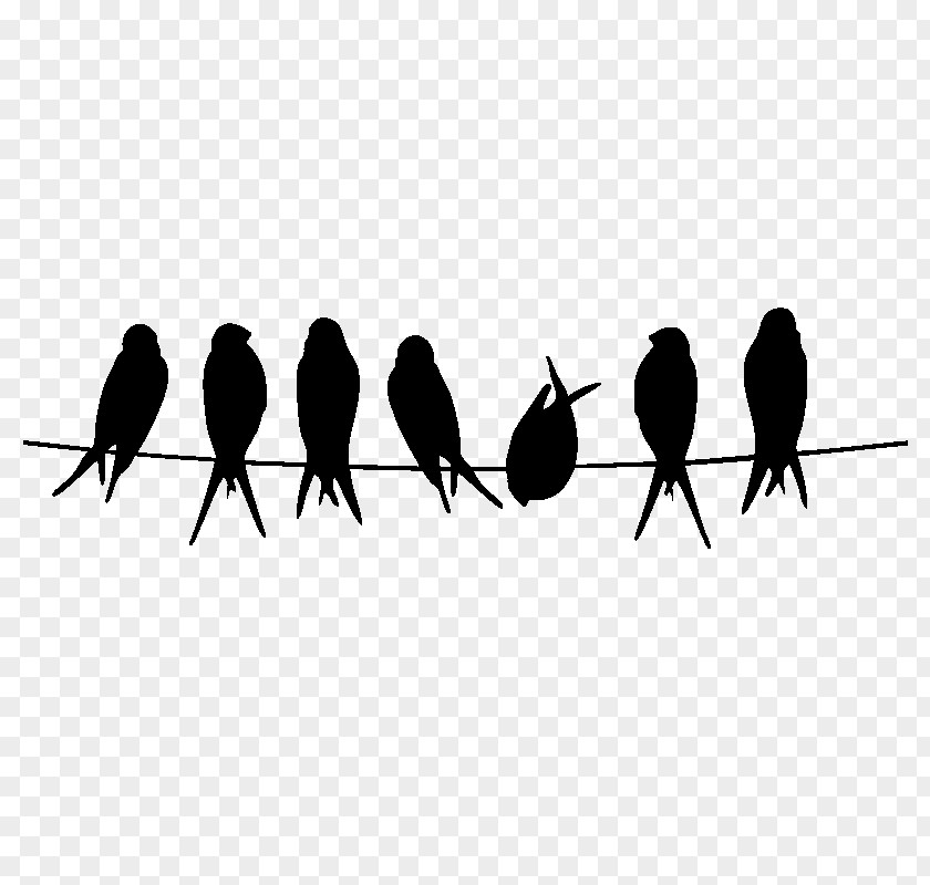 Bird On A Wire Wall Decal Printing Poster Rare Salon PNG