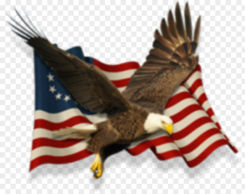 Eagle Flag Of The United States Thirteen Colonies Betsy Ross PNG