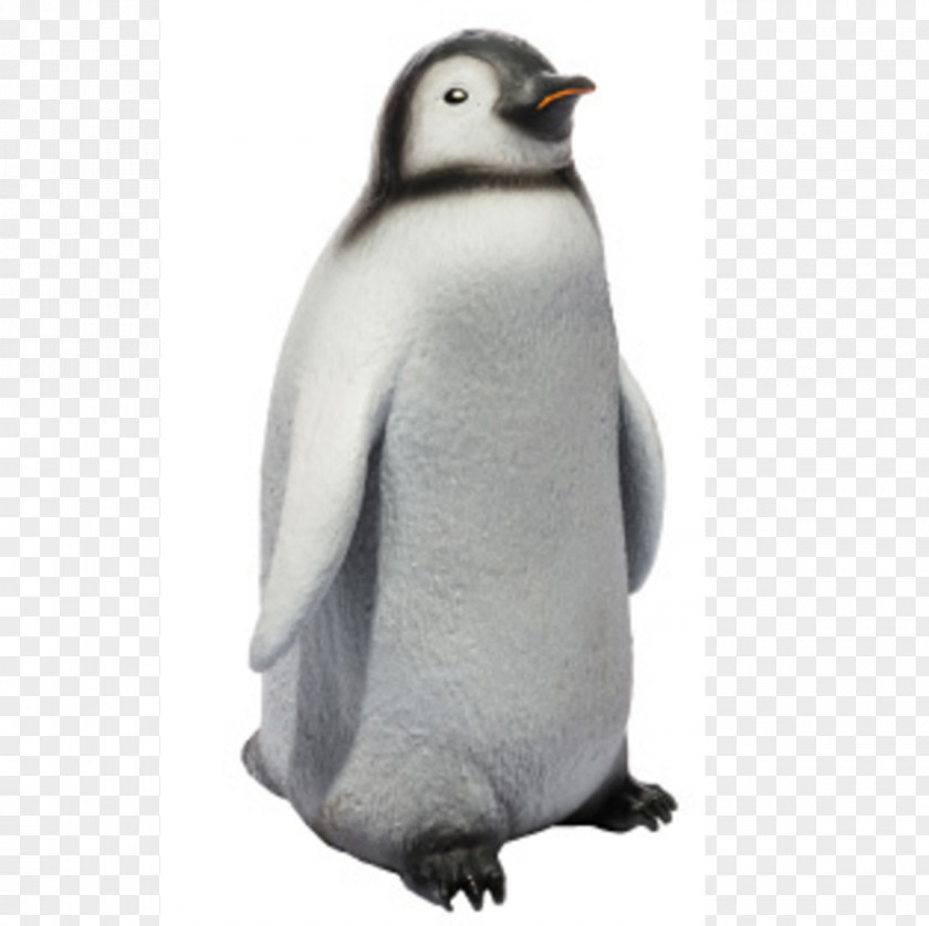 Baby Penguin King Emperor Bird Animal PNG