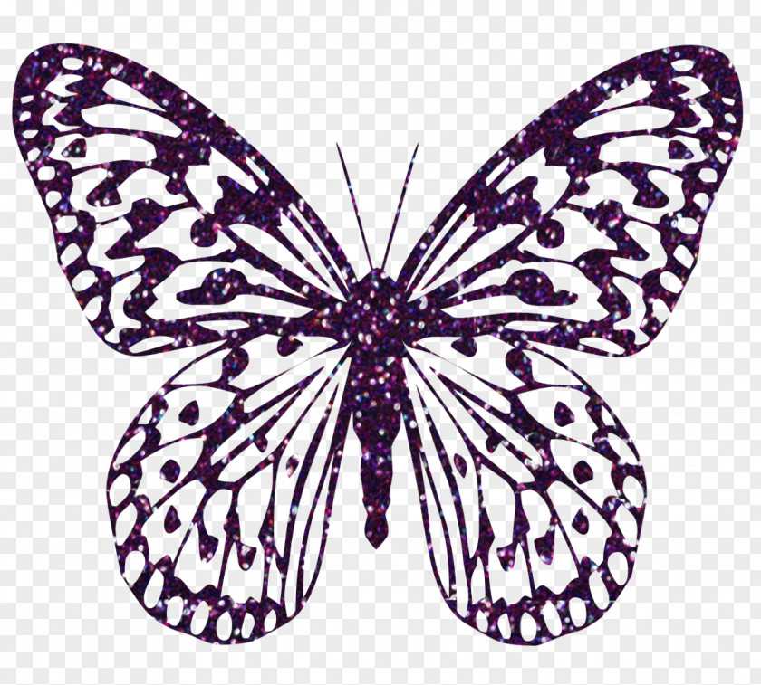 Buterfly Butterfly Color Clip Art PNG