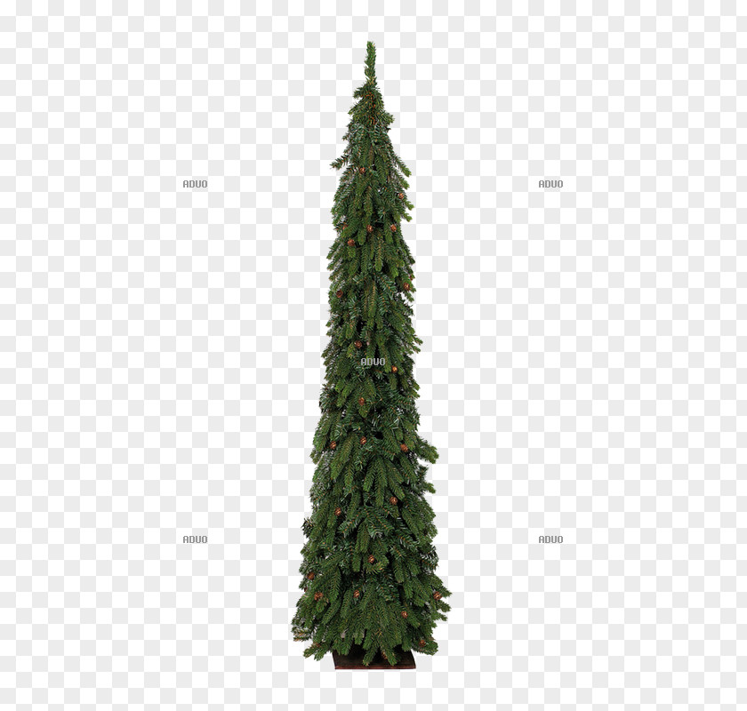 Christmas Tree Spruce Fir Pine O Tannenbaum PNG