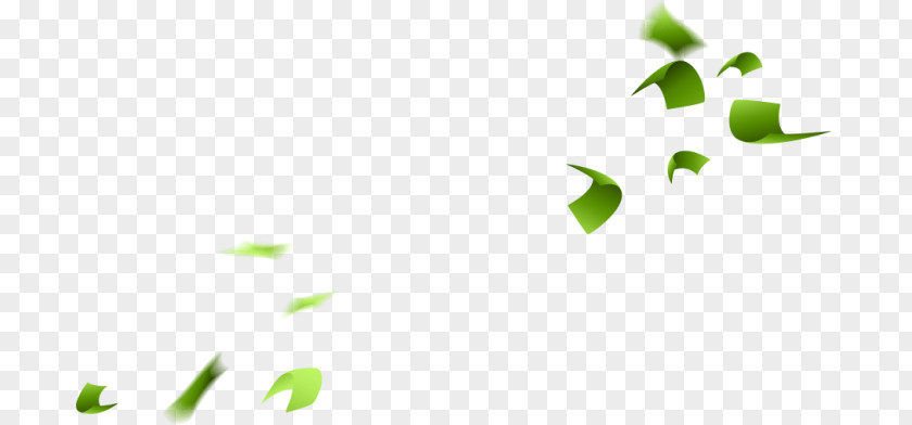 Logo Plant Green Leaf PNG