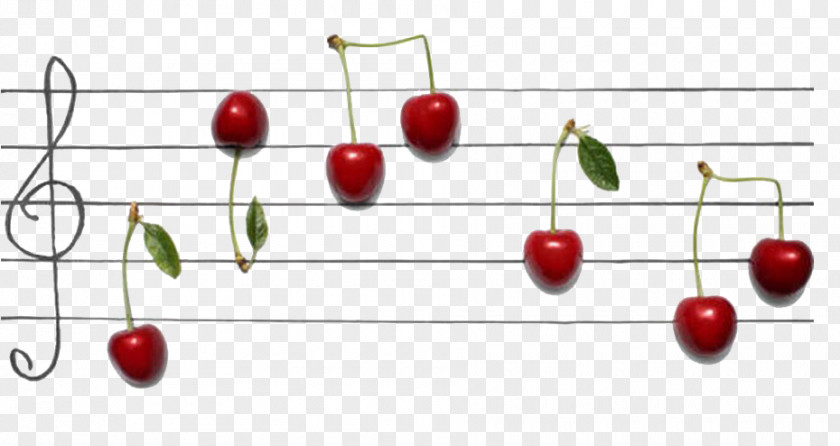 Melody Musical Note Photography Art PNG note Art, Cherry music clipart PNG