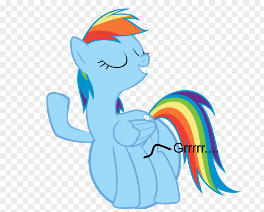 Rainbow Pony Dash Rarity Pinkie Pie Twilight Sparkle PNG