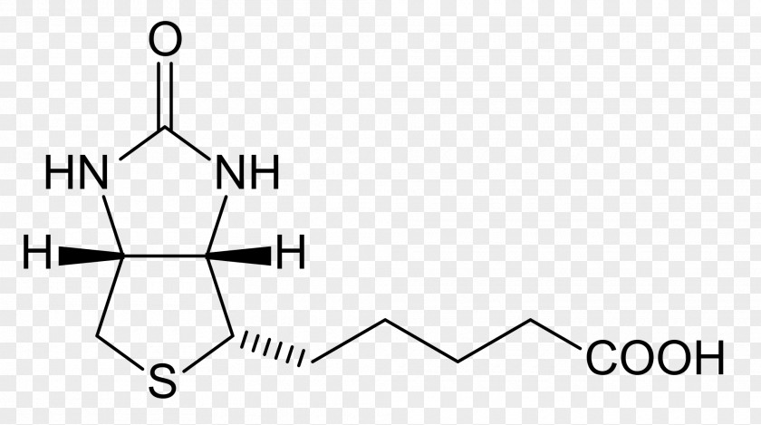 Biotin Deficiency Dietary Supplement Avidin Biotinidase PNG