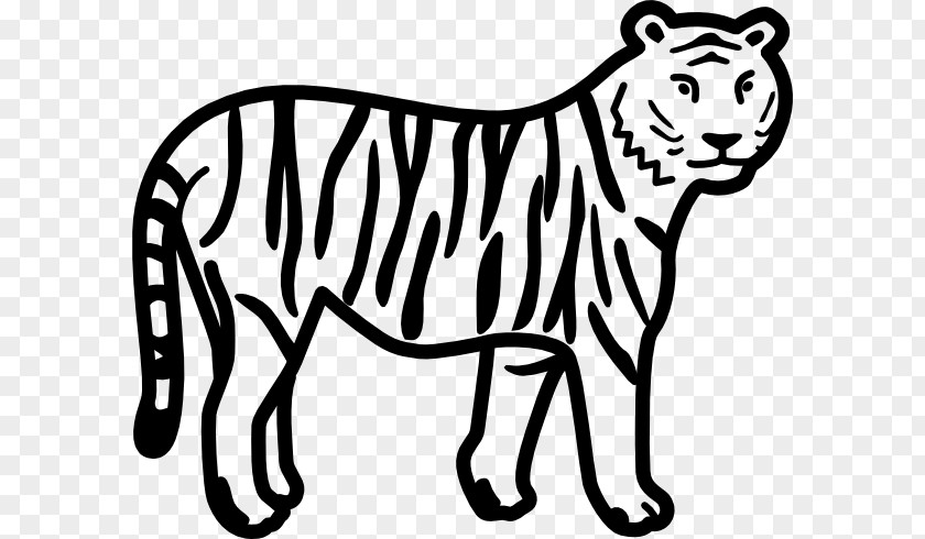 Free Cartoon Drawings Bengal Tiger Black And White Clip Art PNG